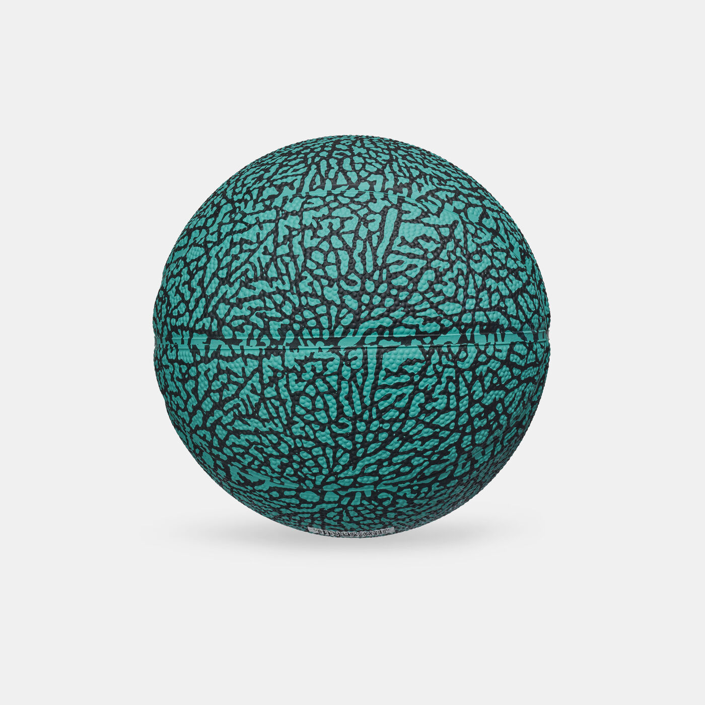 Skills 2.0 Graphic Mini Basketball