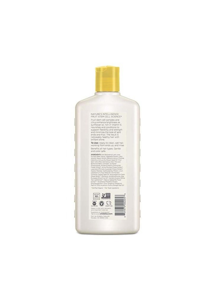 Andalou Sunflower & Citrus Brilliant Shine Conditioner