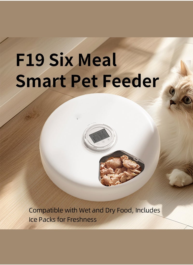 Automatic Cat Feeder 6 Meal Pet Feeder for Wet Food Dry Food Pet Food Dispenser with Timer