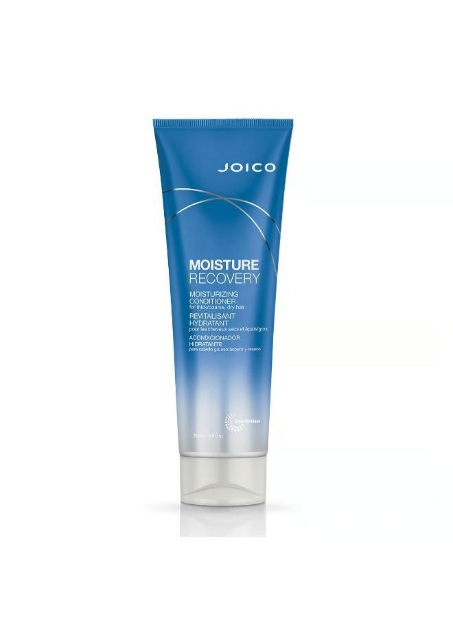 Moisture Recovery Moisturizing Conditioner For Thick-Coarse Dry Hair 250ml