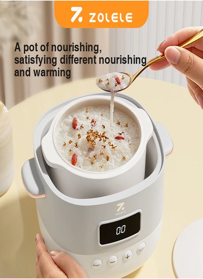 Multi-Function Electric Stew Pot – Versatile Cooking for Soups, Stews, Porridge, and More with Advanced Heat Control, Energy-Efficient Design, and Compact Household Size ES101- White