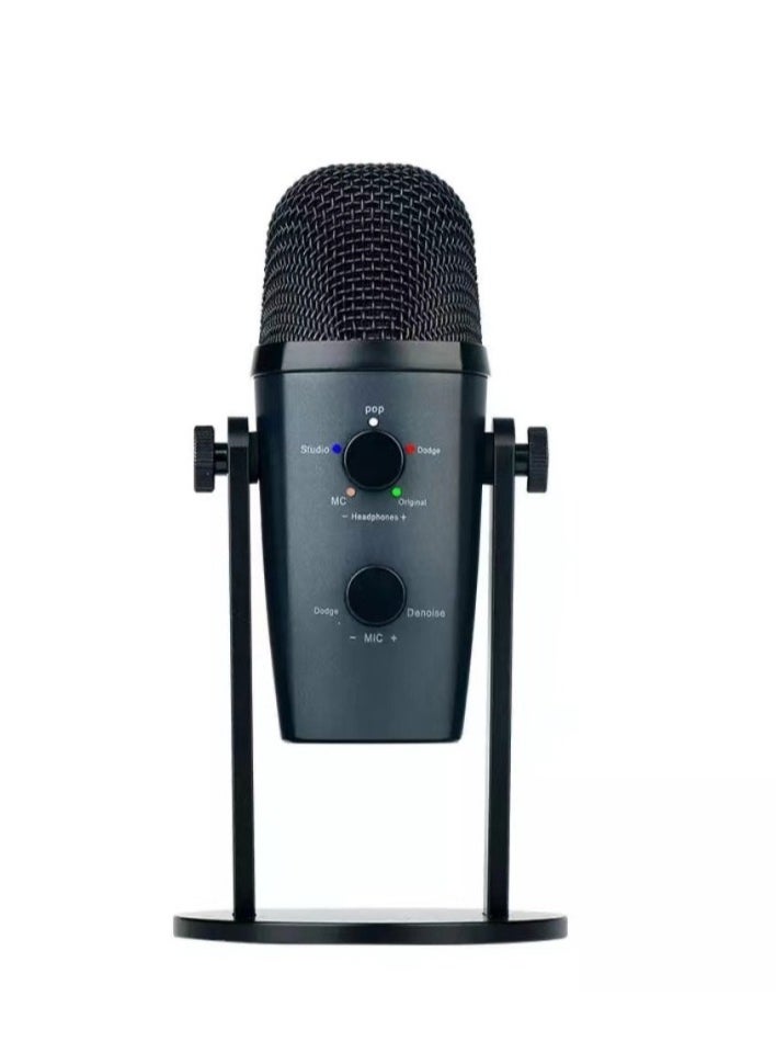 Professional Studio Sound JMARY MC-PW10 USB Studio Condenser Microphone