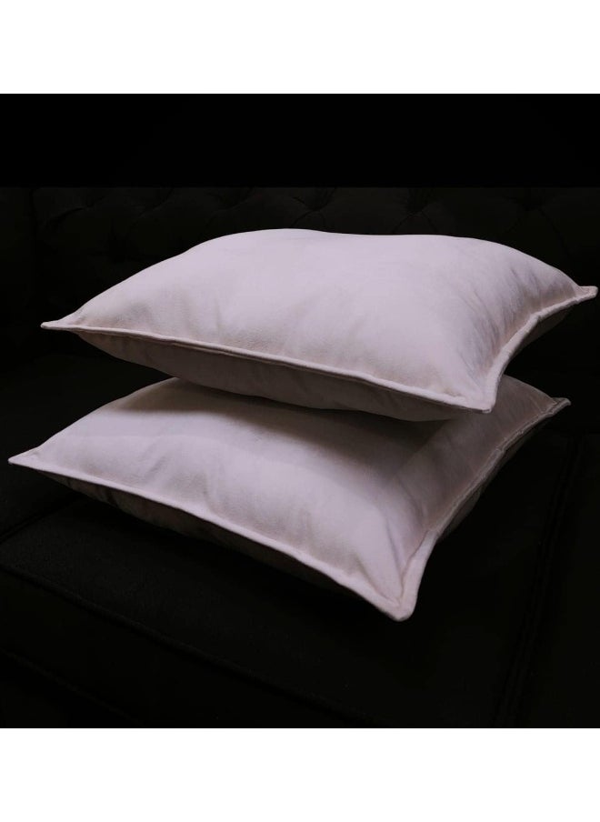 R2R Furniture Blanca Velvet Pillows (2 Pieces)