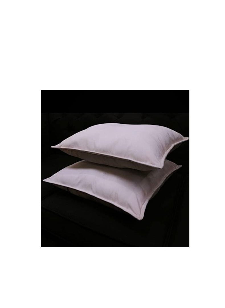 R2R FURNITURE BLANCA VELVET PILLOWS (2 PIECES)