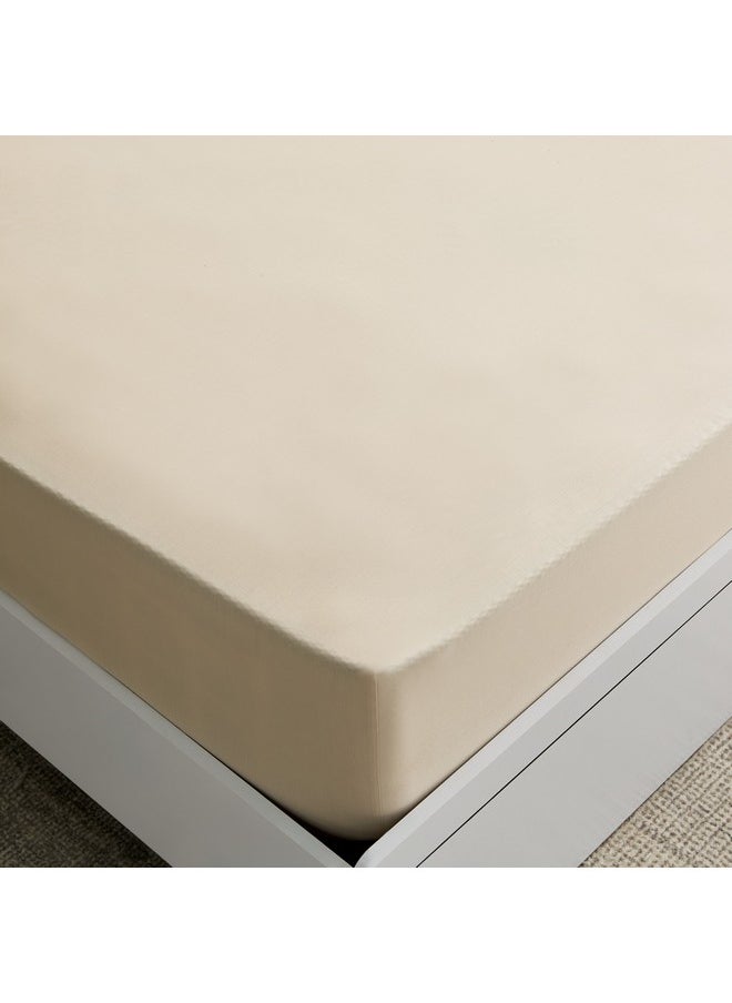 Essential Cotton Queen Fitted Sheet 150 x 200 x 36 cm