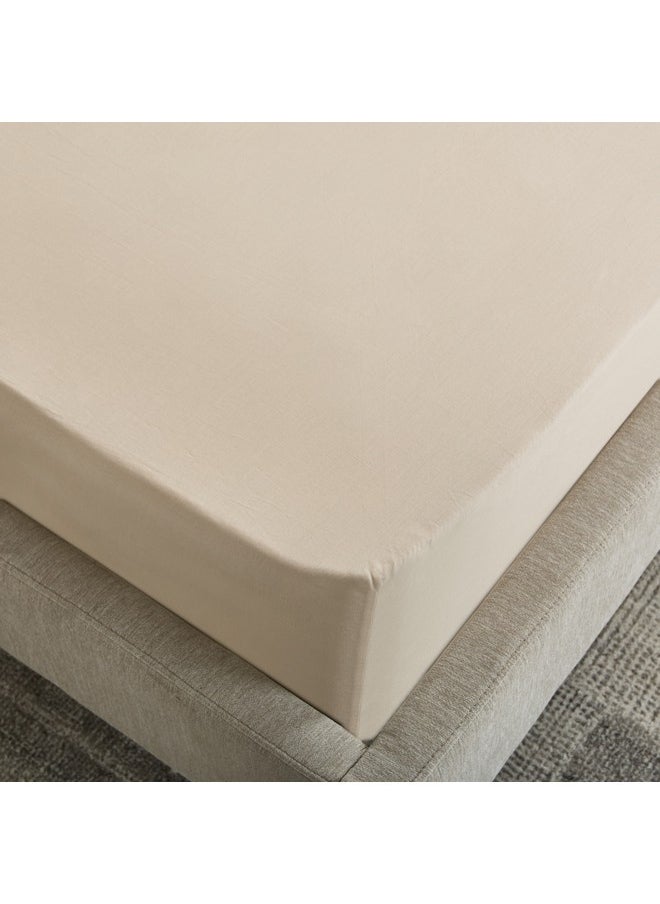 Essential Cotton Twin Fitted Sheet 120 x 200 x 36 cm