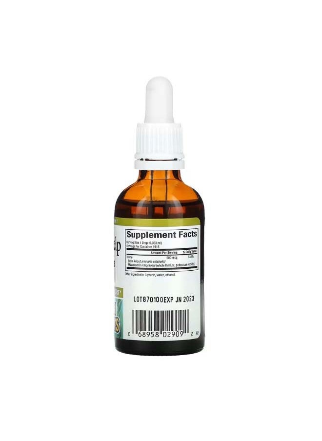 Liquid Kelp 800 mcg 1.6 fl oz 50 ml