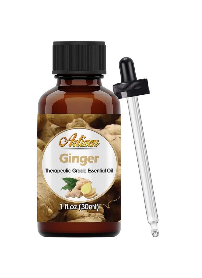 Artizen 30ml Oils - Ginger Essential Oil - 1 Fluid Ounce - Ginger Oil - Aromatherapy Oils - Ginger Aromatherapy Oil