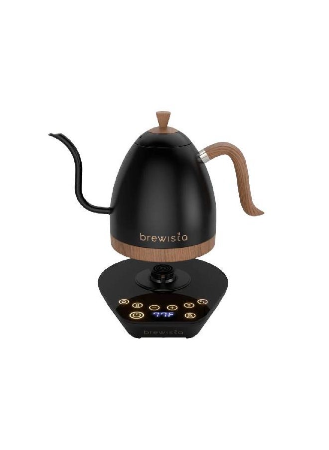 Artisan Electric Coffee Kettle with Gooseneck Spout, Perfect for Pour-Over Coffee and Tea Brewing, Precision Temperature Control, Digital Display, Flash Boil and Keep Warm Setting, Stainless Steel Body, 1L - Matte Black