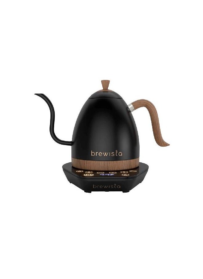 Artisan Electric Coffee Kettle with Gooseneck Spout, Perfect for Pour-Over Coffee and Tea Brewing, Precision Temperature Control, Digital Display, Flash Boil and Keep Warm Setting, Stainless Steel Body, 1L - Matte Black