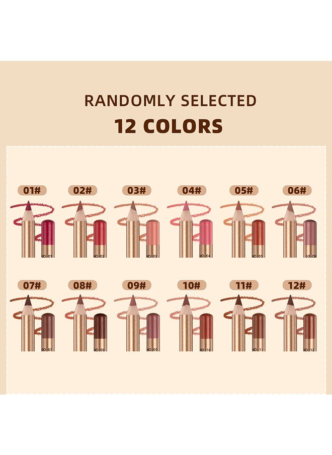 Lip Line Velvet Dazzle Color Lipsyick Pencil，12 Colors  Lip Line Pencil， Matte Waterproof Long Lasting Lipstick Lip Contour Makeup Lip Liner Set Full Color One Stroke Define Lip Liner12Pcs Lip Liner Set