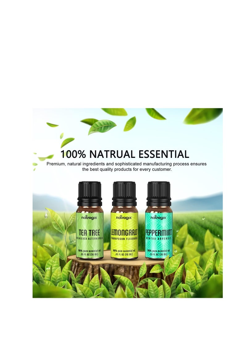 Greenlem Treasure Essential Oils - Top 9 Therapeutic Grade 100% Pure Essential Oil Set 9/10ml Tea Tree, Lavender, Eucalyptus, Frankincense, Lemongrass, Lemon, Rosemary, Orange, Peppermint