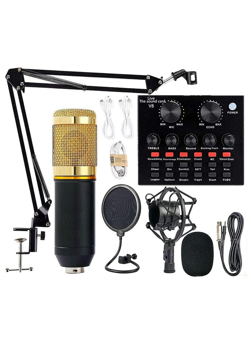 V8 Professional Condenser Microphone Bundle with Live Sound Card for Studio Recording and Broadcasting