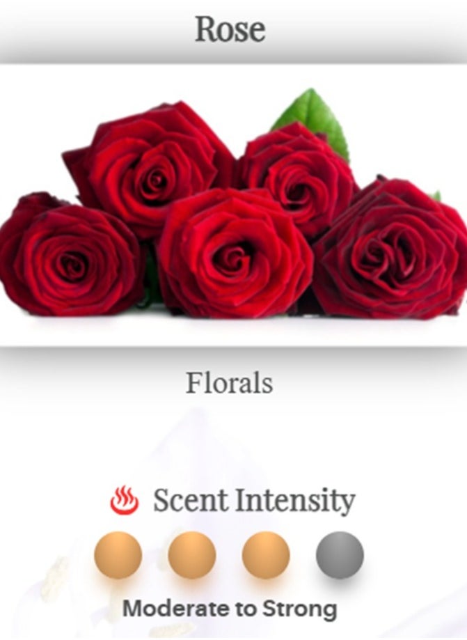 Rose Aroma Essence Oil-250ml | For use in Water Air Purifier / Revitalizer | Scent Intensity: Moderate to Strong | Produces foam to effectively trap dust and air pollutants | Removes odour & smoke | Contains natural plant extracts | 100% alcohol free |