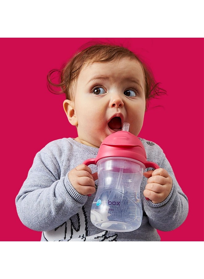 Sippy Cup With Weighted Straw (2-Pack). Drink From Any Angle, Leak Proof, Easy Grip. Bpa Free, Dishwasher Safe. For Babies 6M+ To Toddlers (Cobalt + Bubblegum, 8Oz)