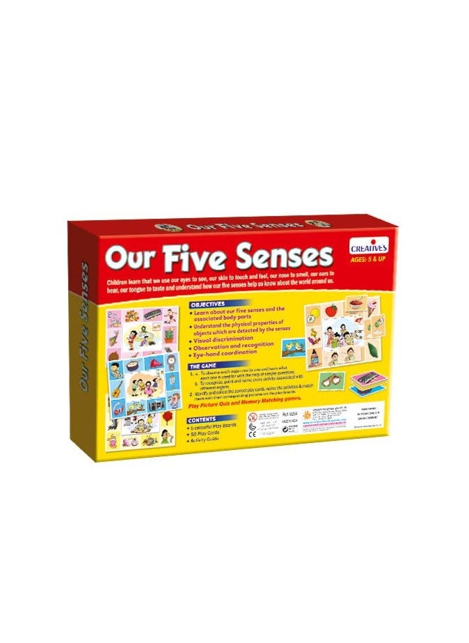 Creative’s Our Five Senses| Children Recognise The Five Senses and Associated Body Parts| Educational Toys n Games| Differentiate Between The Five Senses| Learning & Educational for Ages 5 & Up