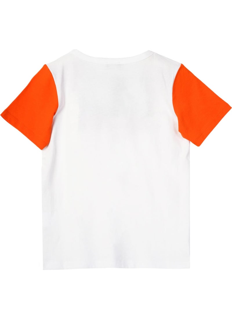 Boy Tshirt BNT-B21395