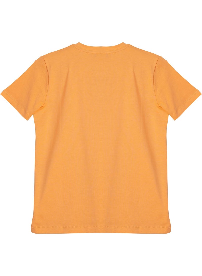 Boy Tshirt BNT-B21405