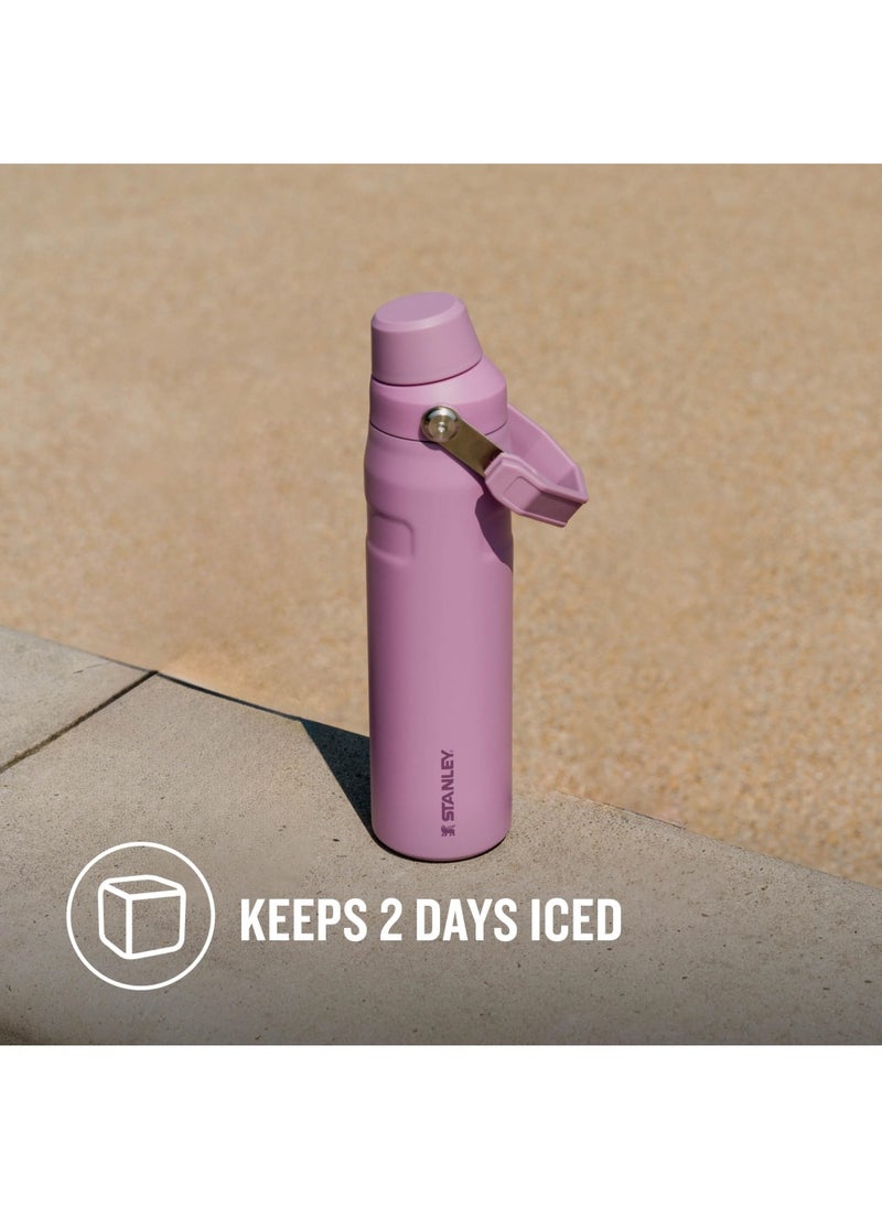 The Aerolight IceFlow Water Bottle Fast Flow 0.6L - Keeps 10 Hours Cold - Lightweight Insulated Water Bottles - Dishwasher Safe - Leakproof and Fast Flow Lid - BPA Free - Lilac