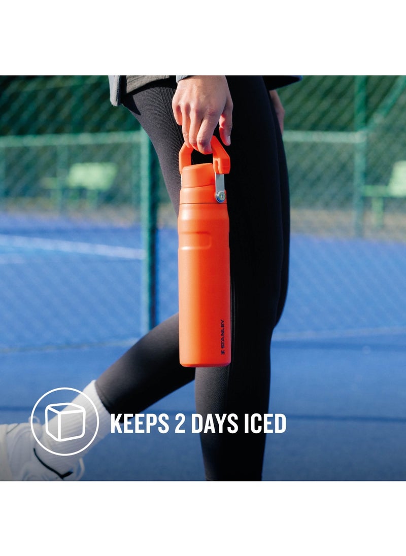 The Aerolight IceFlow Water Bottle Fast Flow 0.6L - Keeps 10 Hours Cold - Lightweight Insulated Water Bottles - Dishwasher Safe - Leakproof and Fast Flow Lid - BPA Free - Tigerlily