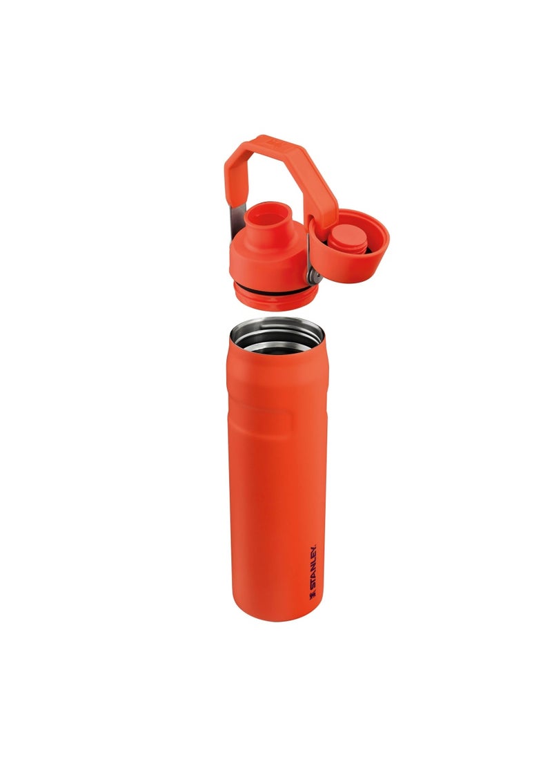 The Aerolight IceFlow Water Bottle Fast Flow 0.6L - Keeps 10 Hours Cold - Lightweight Insulated Water Bottles - Dishwasher Safe - Leakproof and Fast Flow Lid - BPA Free - Tigerlily