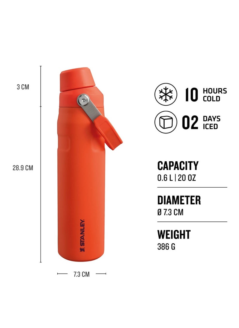 The Aerolight IceFlow Water Bottle Fast Flow 0.6L - Keeps 10 Hours Cold - Lightweight Insulated Water Bottles - Dishwasher Safe - Leakproof and Fast Flow Lid - BPA Free - Tigerlily