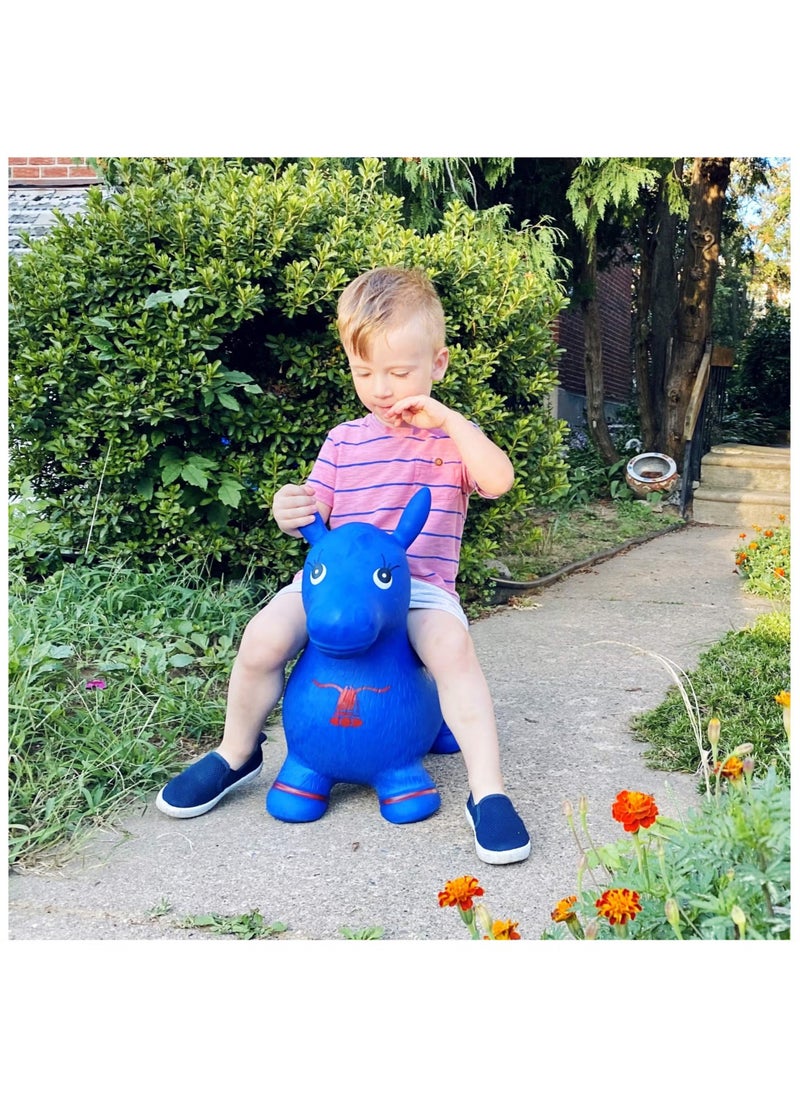 Blue Horse Inflatable Space Bouncer for Kids