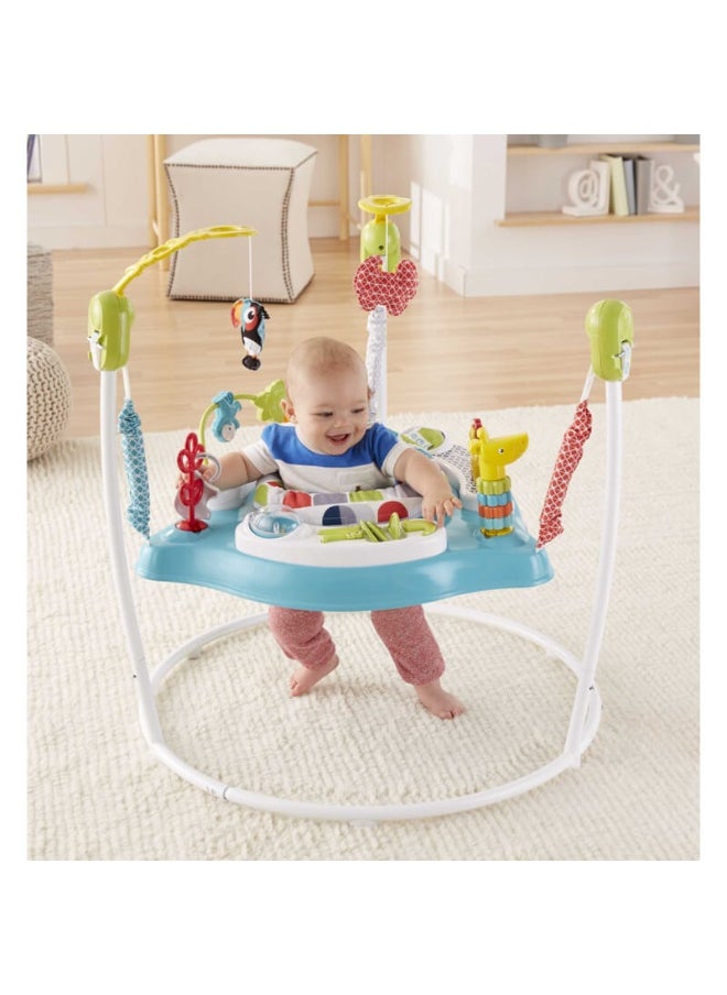 Color Climbers Jumperoo