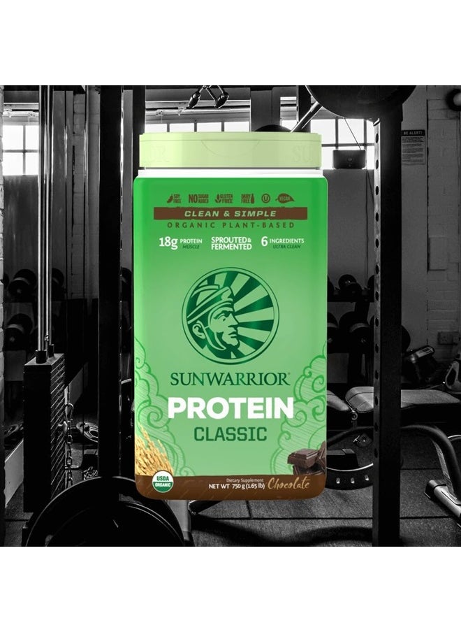 Brown Rice Protein Powder with Bcaa & Amino Acids Raw Rice Protein Shake Gluten Free Low Carb Dairy Free | Plant Based Classic Sprouted Brown Rice Protein Powder Chocolate 750g by Sunwarrior