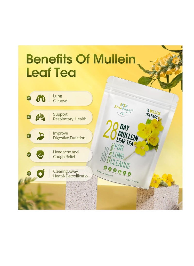 Mullein Leaf Tea for Lungs Cleanse and Immune Support, 100% Natural, Caffeine Free, 40 Tea Bags