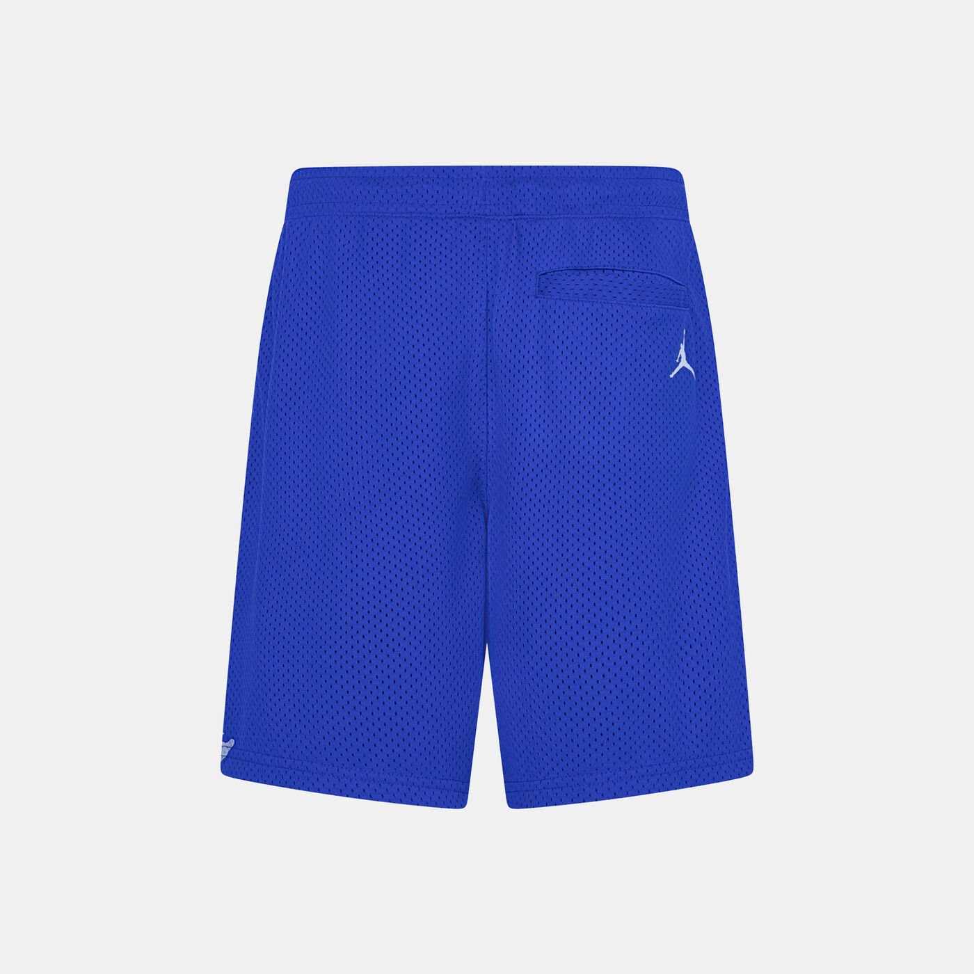 Kids' 1984 Jumpman Mesh Shorts