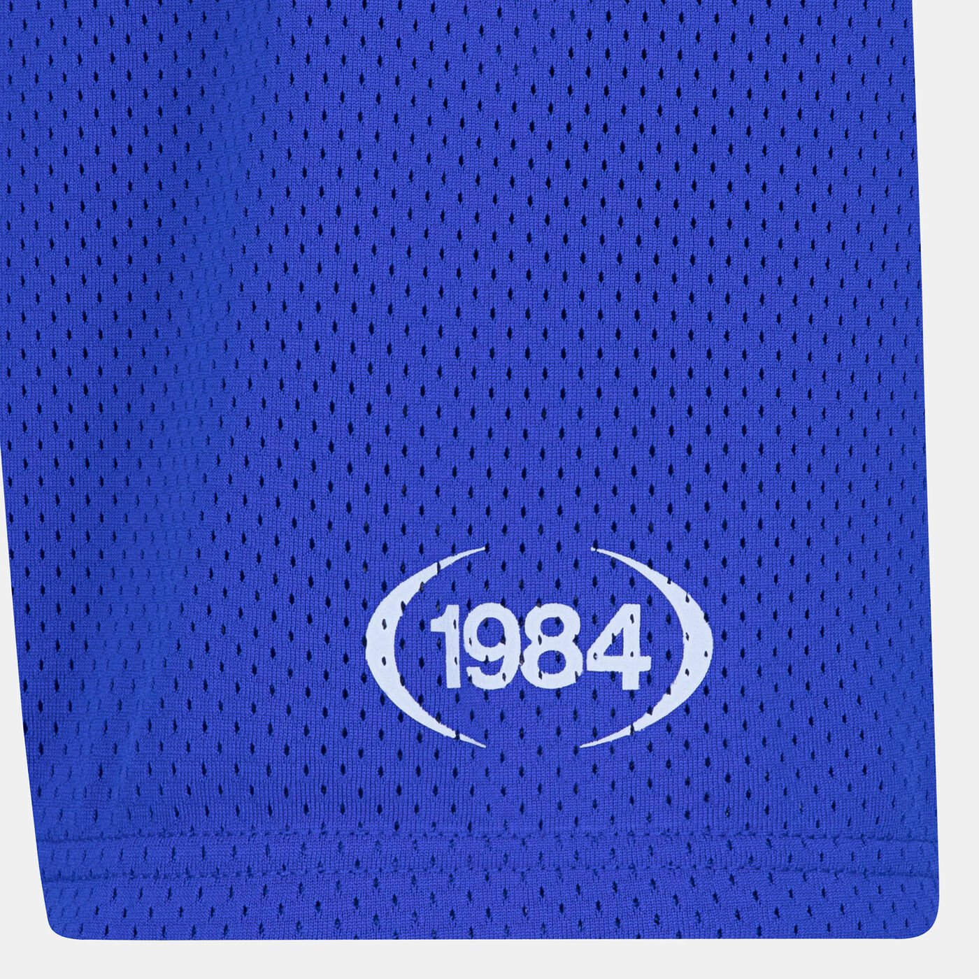 Kids' 1984 Jumpman Mesh Shorts