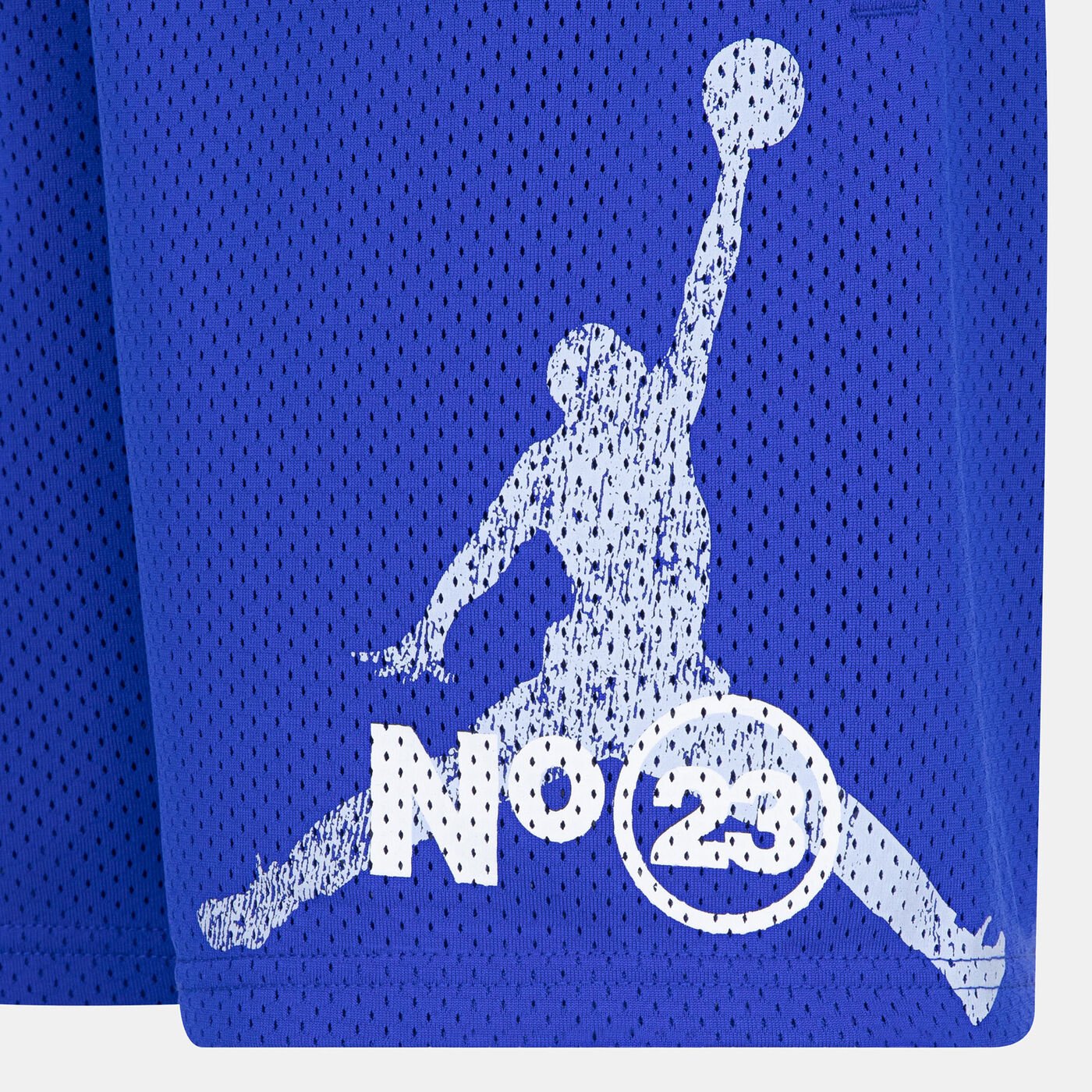 Kids' 1984 Jumpman Mesh Shorts