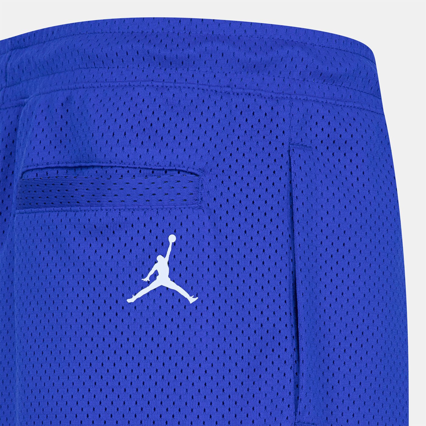 Kids' 1984 Jumpman Mesh Shorts