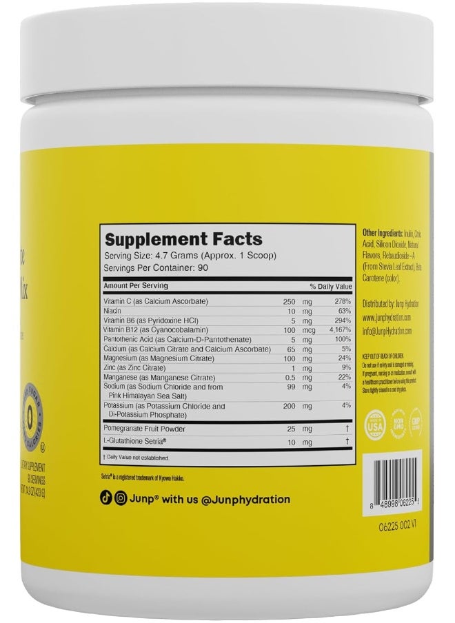 Hydration Electrolyte Powder, Electrolytes Drink Mix Supplement, Zero Calories Sugar and Carbs, Kosher, Lemonade Flavor, 90 Servings