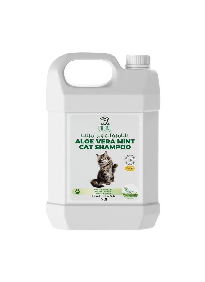 Aloe Vera Mint Cat Shampoo – Soothing Care for Silky Fur – 5L