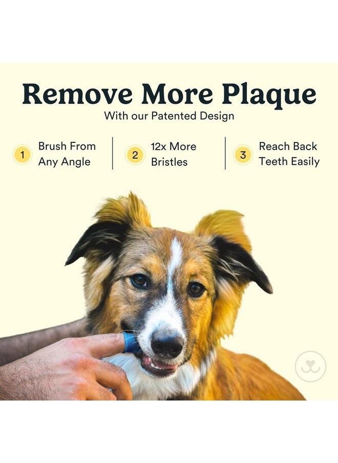 Jasper Dog Toothbrush, 360º Dog Tooth Brushing Kit, Cat Toothbrush, Dog Teeth Cleaning, Dog Finger Toothbrush, Dog Tooth Brush for Small & Large Pets, Dog Toothpaste Not Included, 2-Pack Blue
