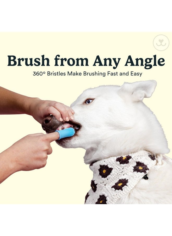 Jasper Dog Toothbrush, 360º Dog Tooth Brushing Kit, Cat Toothbrush, Dog Teeth Cleaning, Dog Finger Toothbrush, Dog Tooth Brush for Small & Large Pets, Dog Toothpaste Not Included, 2-Pack Blue
