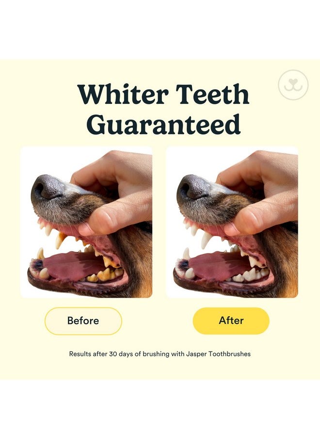 Jasper Dog Toothbrush, 360º Dog Tooth Brushing Kit, Cat Toothbrush, Dog Teeth Cleaning, Dog Finger Toothbrush, Dog Tooth Brush for Small & Large Pets, Dog Toothpaste Not Included, 2-Pack Blue