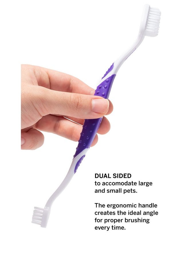 petsmile Professional Pet Toothbrush - Patented 45° Cat & Dog Toothbrush for Small & Large Animals - Pet Accessories for Dental Care - VOHC Approved Dog Teeth Cleaning - Dog Toothpaste Not Included