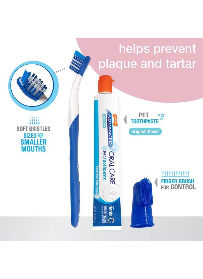 Nylabone Advanced Oral Care Puppy Dental Kit Puppy Original 3 Count