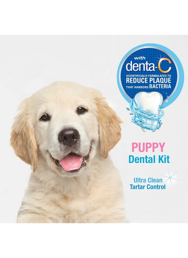 Nylabone Advanced Oral Care Puppy Dental Kit Puppy Original 3 Count