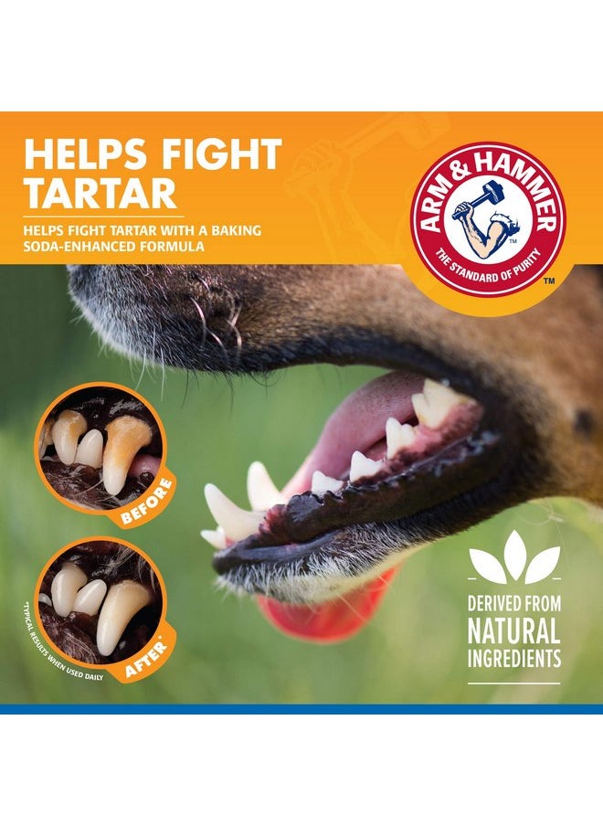 Arm & Hammer Dog Water Additive for Dental Care - Bad Breath Eliminator for Dogs & Dog Breath Freshener - Dog Tooth Plaque Cleaner & Dog Tartar Remover - 16 Fl Oz Dental Rinse for Dogs - Pack of 1