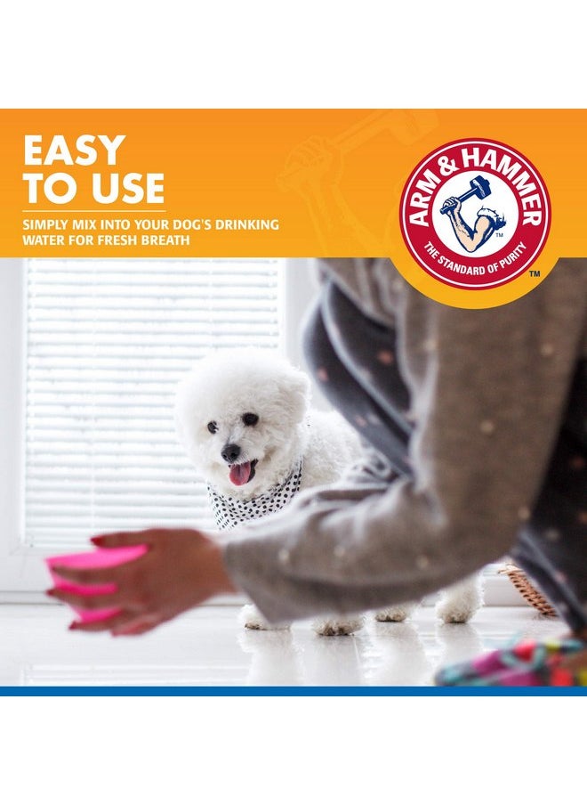 Arm & Hammer Dog Water Additive for Dental Care - Bad Breath Eliminator for Dogs & Dog Breath Freshener - Dog Tooth Plaque Cleaner & Dog Tartar Remover - 16 Fl Oz Dental Rinse for Dogs - Pack of 1