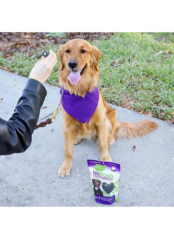 Every Day Naturals Dog Dental Chew, No Brush Toothpaste for Small Breeds, Freshens Breath, Unique Texture Helps Reduce Plaque & Tartar, 10 oz, 1 Pack