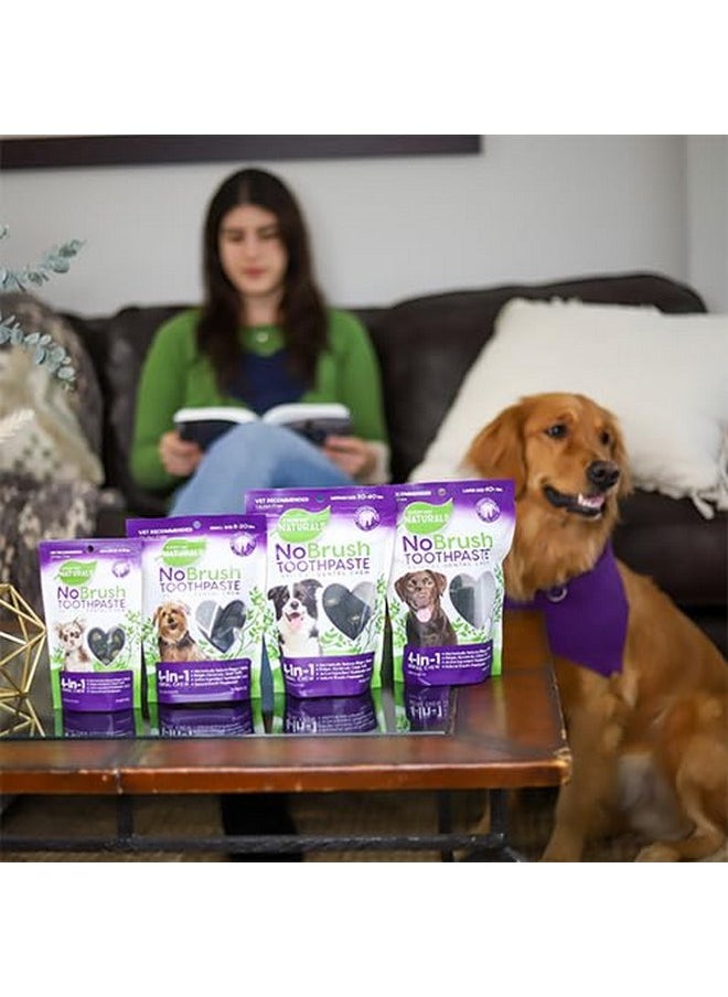 Every Day Naturals Dog Dental Chew, No Brush Toothpaste for Small Breeds, Freshens Breath, Unique Texture Helps Reduce Plaque & Tartar, 10 oz, 1 Pack