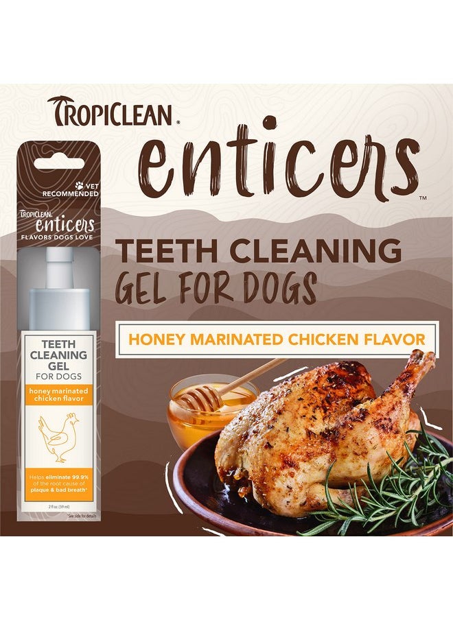 TropiClean Enticers Dog Teeth Cleaning Treat Gel | Honey Chicken Flavored Dog Toothpaste Alternative| 2 oz