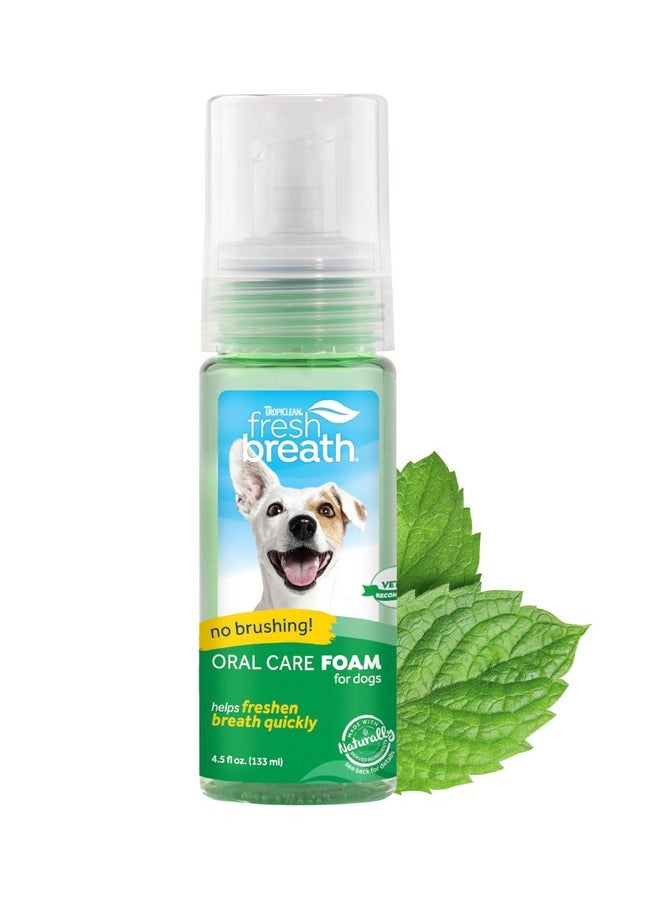 TropiClean Fresh Breath Foam for Dogs & Cats | Cat & Dog Dental Foam| Dog Breath Freshener Foam| Oral Care for Dogs & Cats | Made in The USA | 4.5 oz