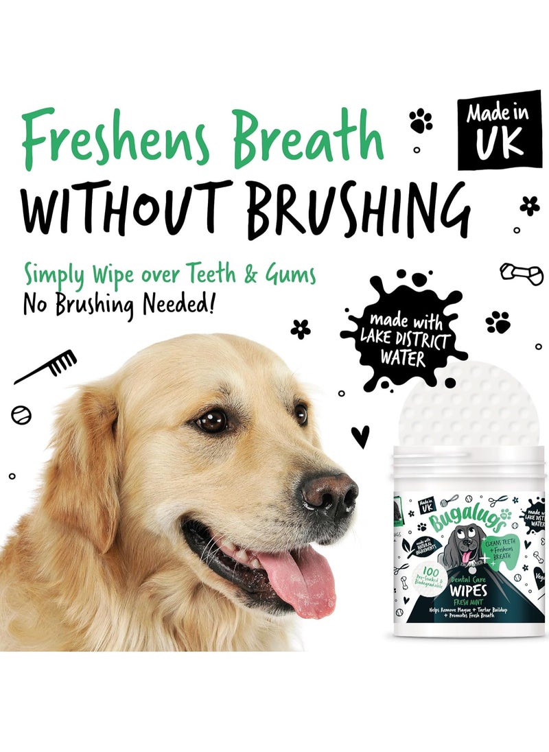 Dog Breath Freshener Dog Teeth Wipes Dog Plaque Remover Dog Wipes and tartar remover for teeth Dog Teeth Cleaning Product No Dog Toothbrush And Toothpaste Brushing Needed Dog 100 Wipes
