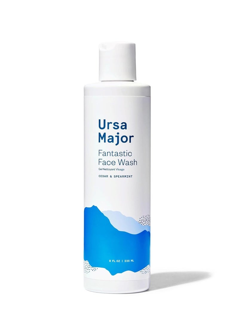 Ursa Major Fantastic Face Wash | Natural, Vegan & Cruelty Free | Daily Foaming Facial Cleanser for Men & Women | 8 ounces